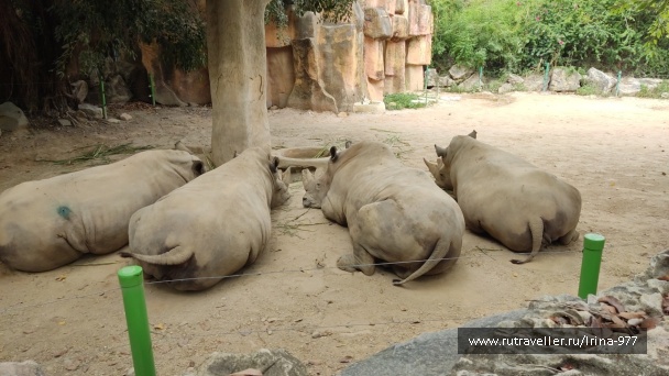 photo 2157418
