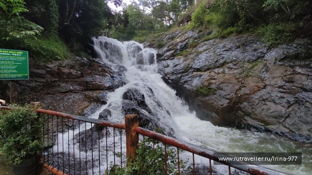 photo 2157528