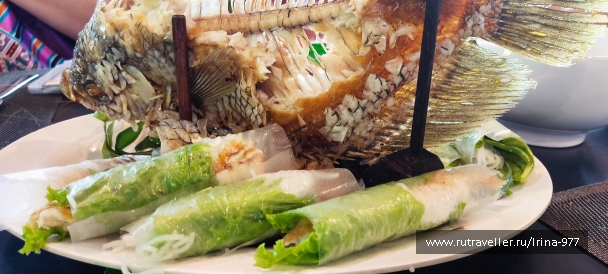 photo 2157579