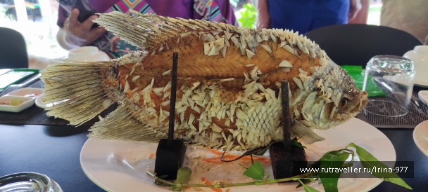 photo 2157582