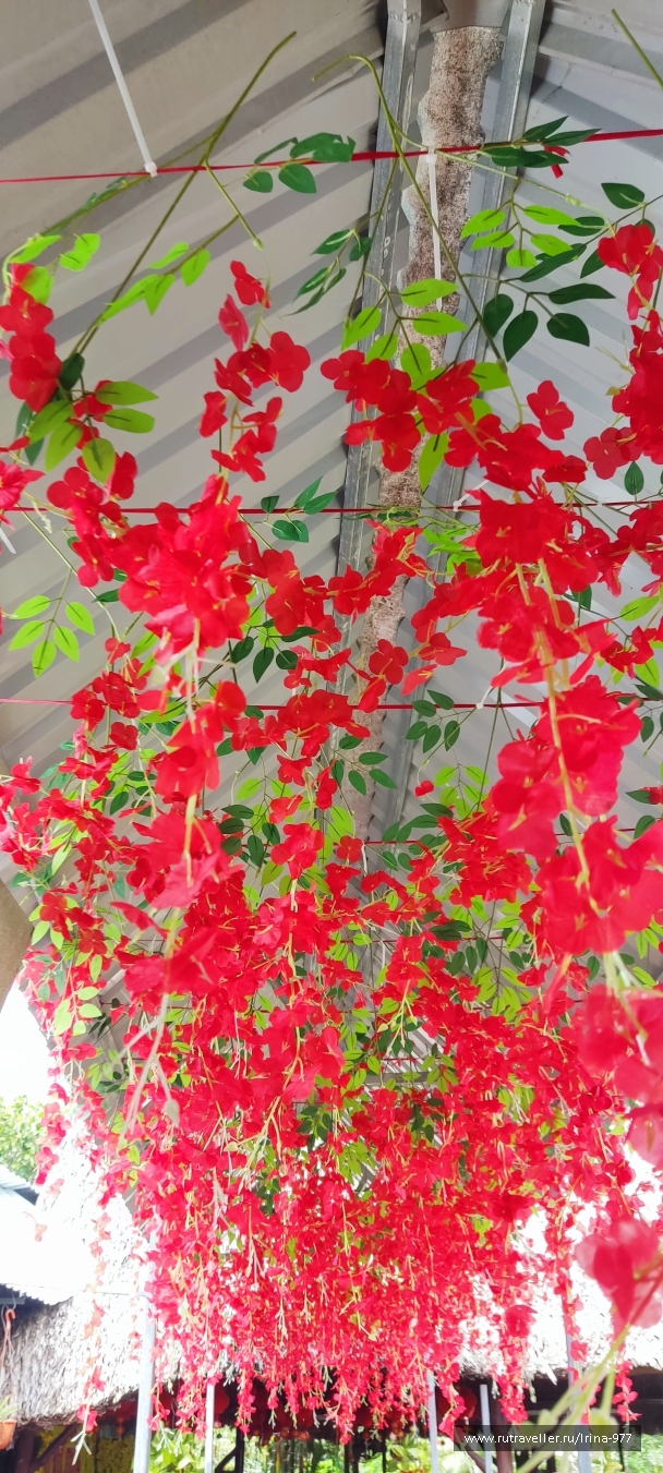 photo 2157588