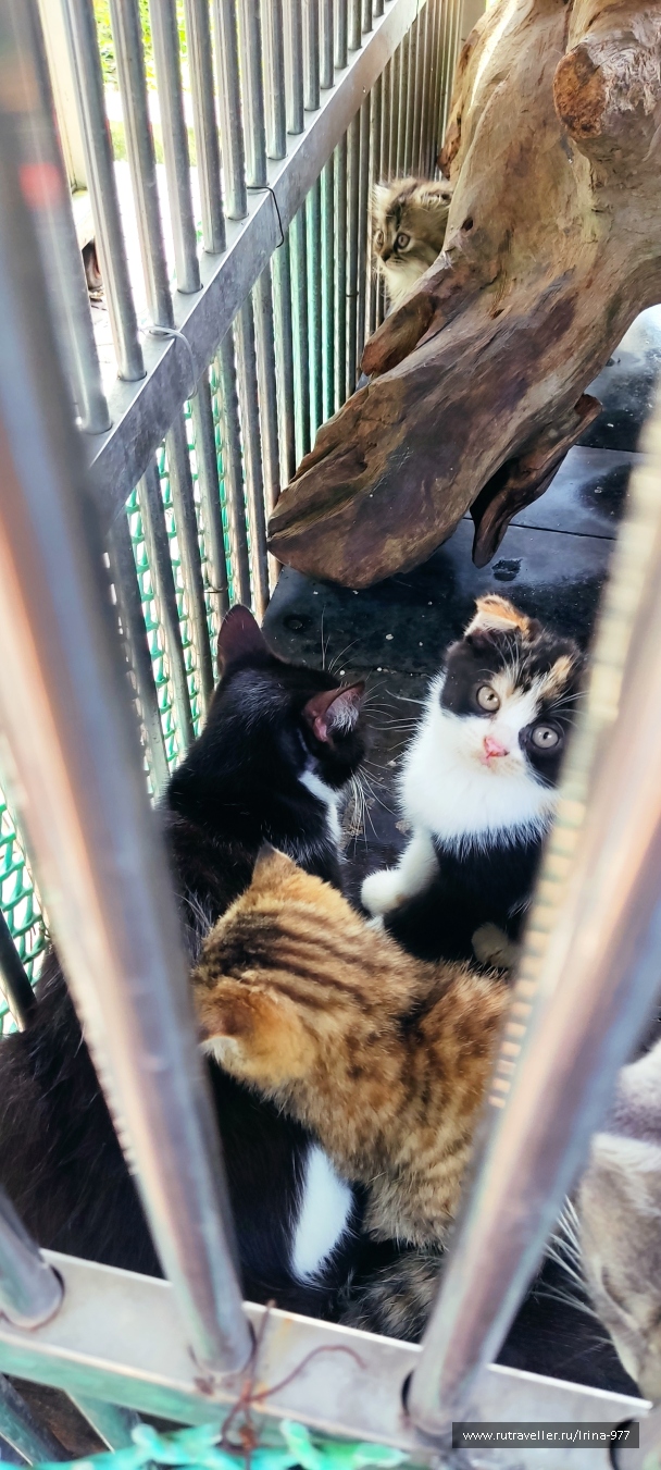 photo 2157593