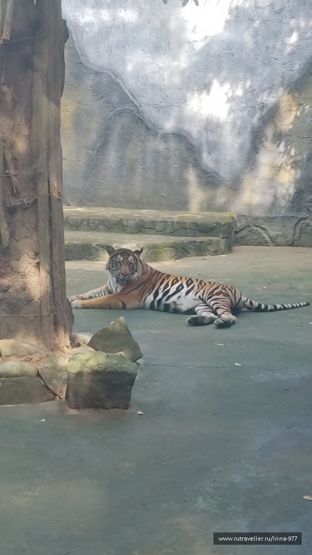 photo 2157596