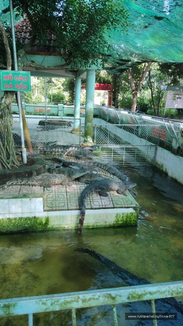 photo 2157597