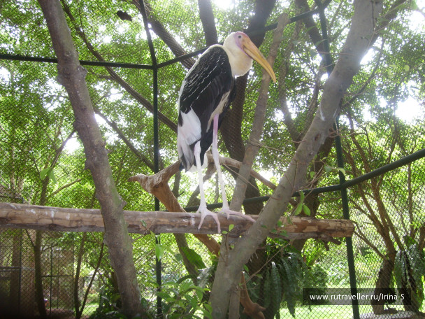 photo 209198