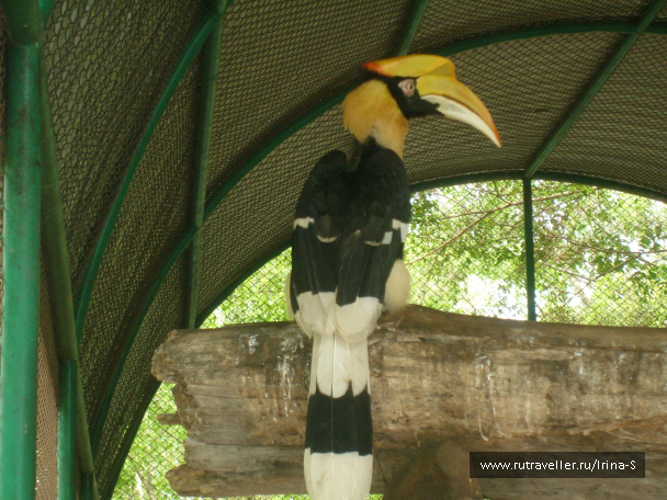 photo 209201