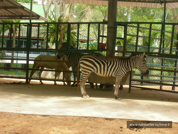 photo 209214