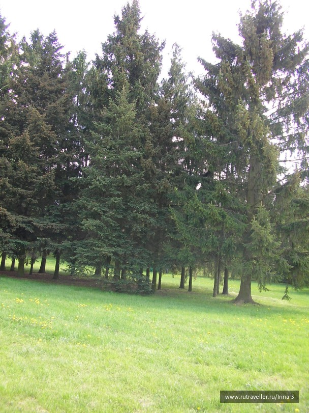 photo 209270