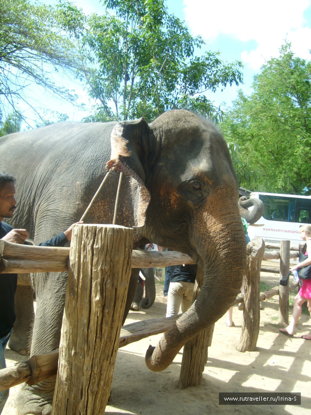 photo 209622
