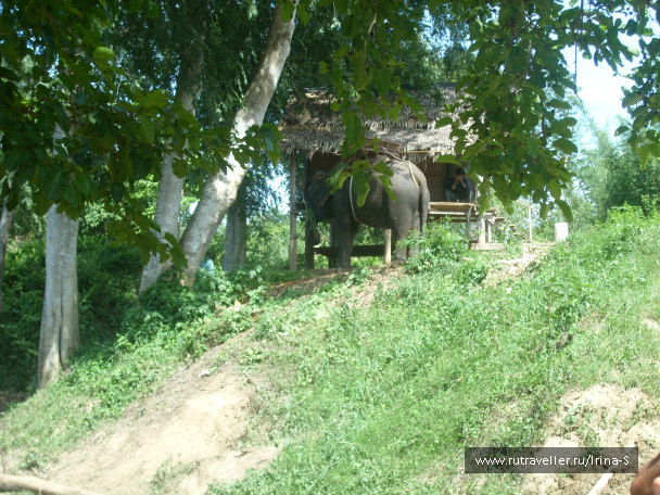 photo 209623