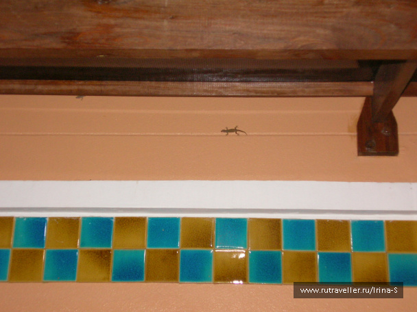 photo 209630