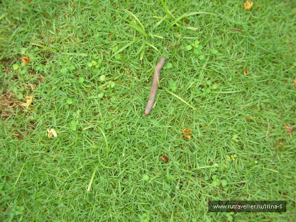 photo 209631