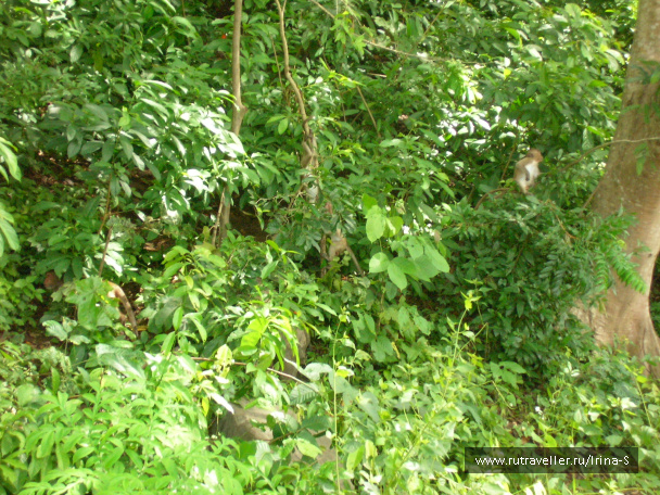 photo 209633