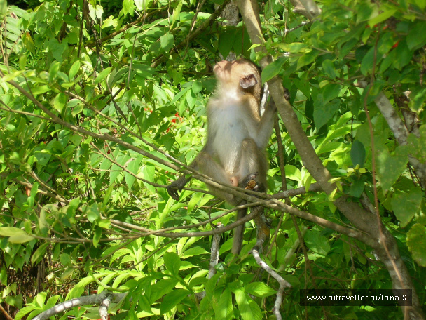photo 209635