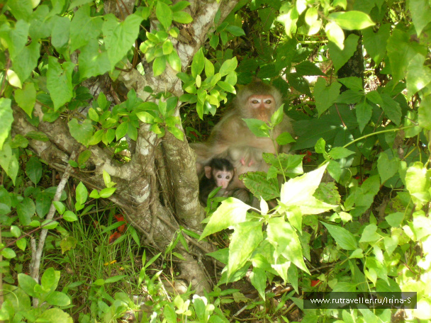 photo 209636