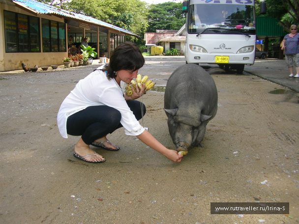 photo 209642