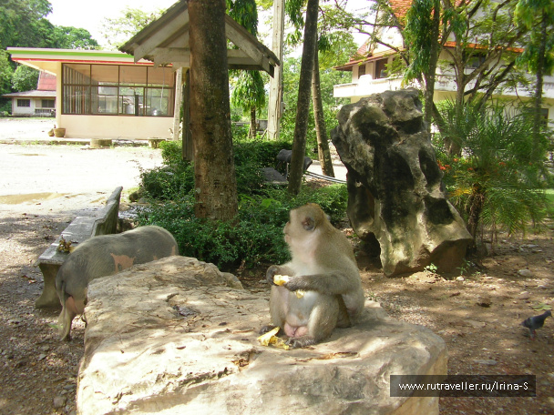 photo 209643