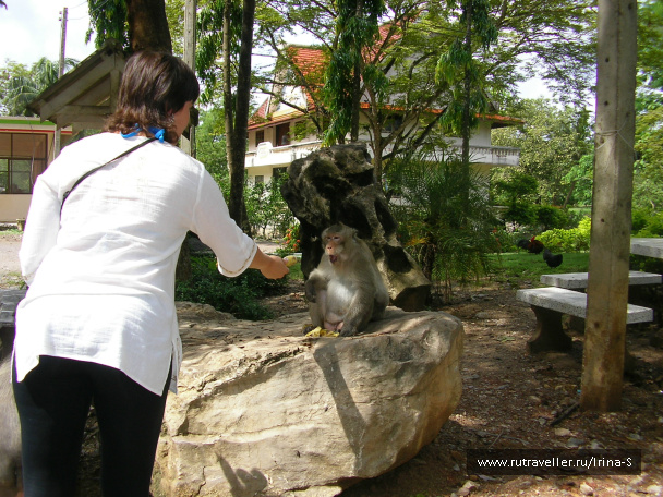 photo 209644