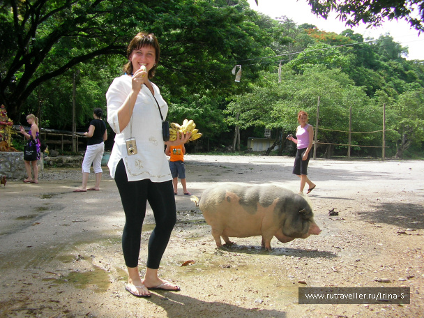 photo 209645