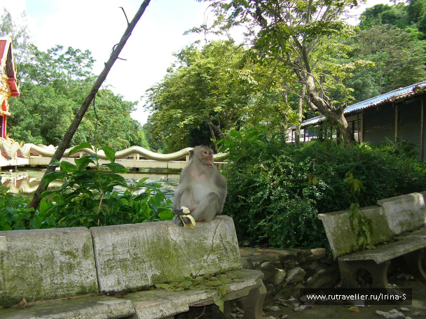 photo 209646