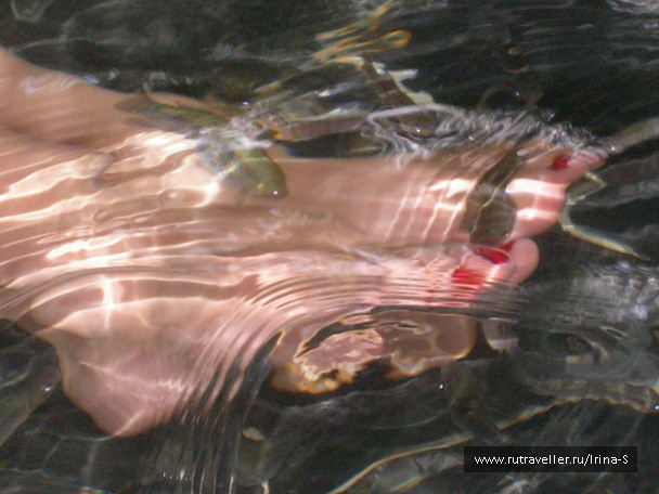 photo 209653