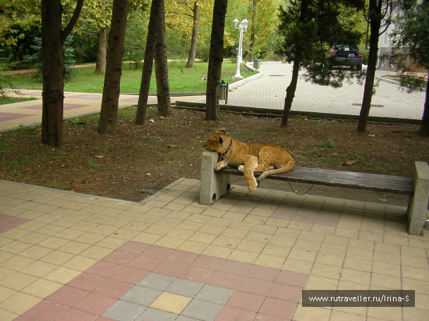 photo 209660