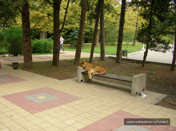 photo 209661