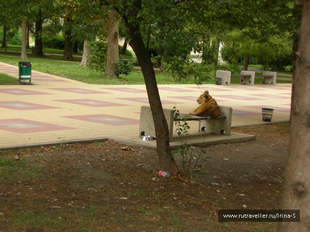 photo 209662