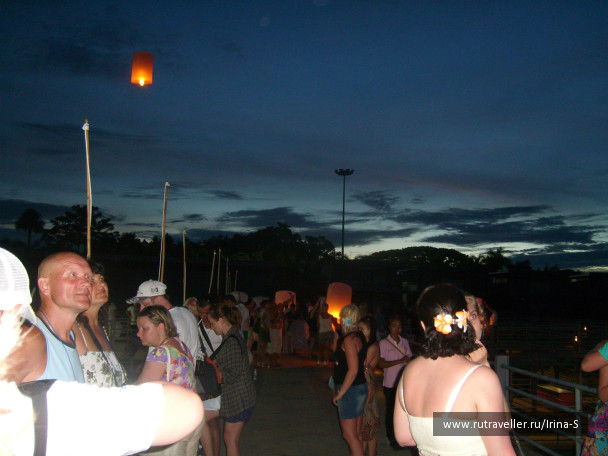 photo 233234
