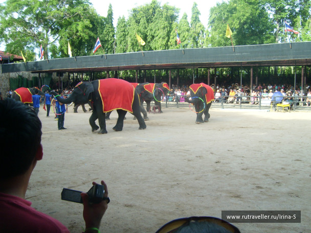 photo 233236