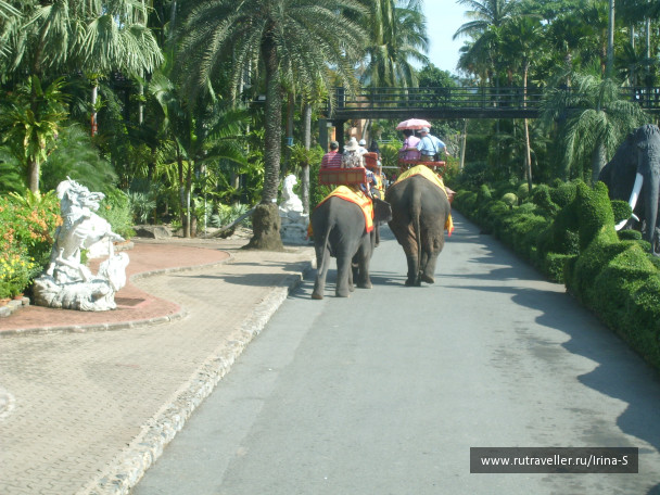photo 233239