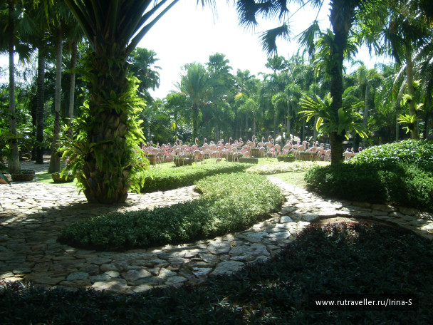 photo 233240