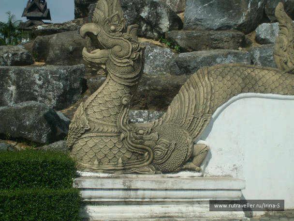 photo 233243