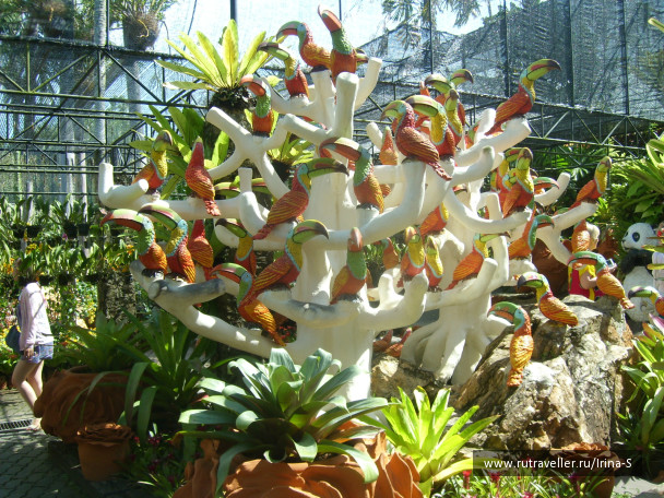 photo 233246