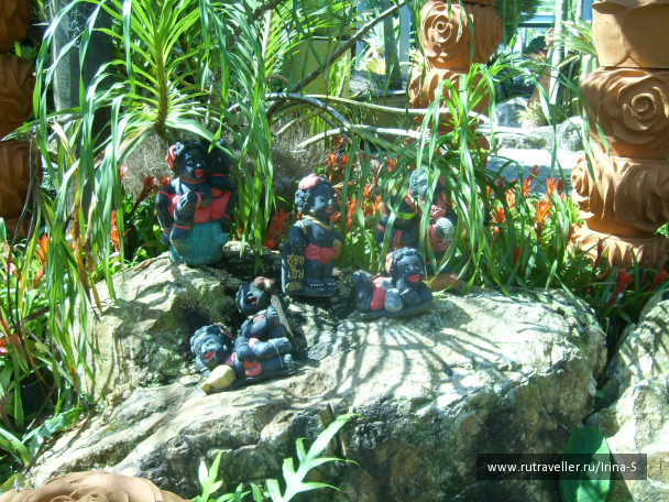 photo 233247