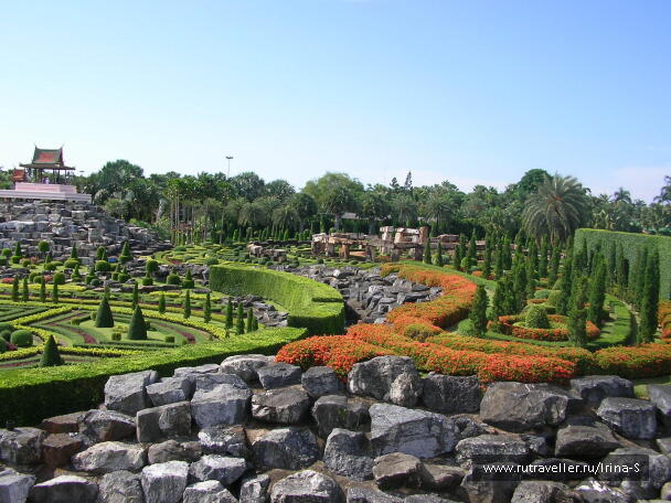 photo 233262