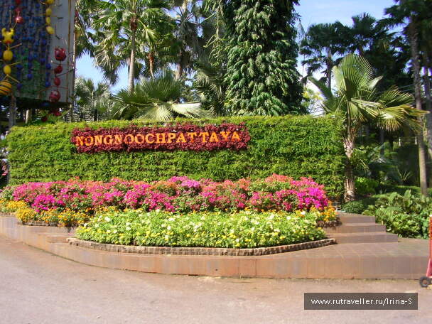 photo 233269
