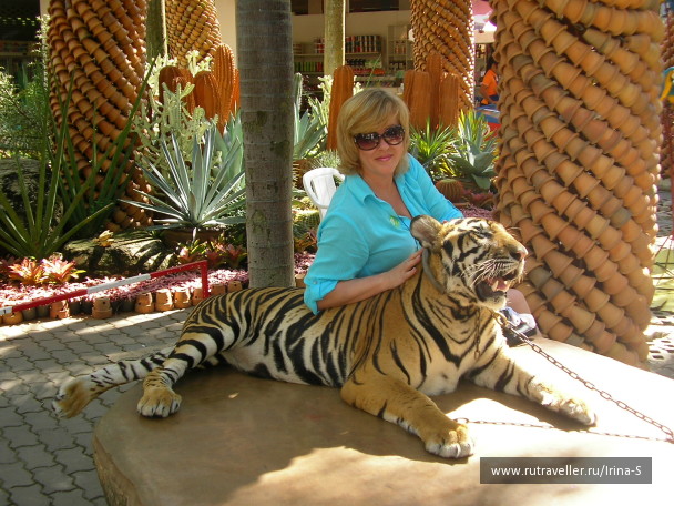 photo 233272