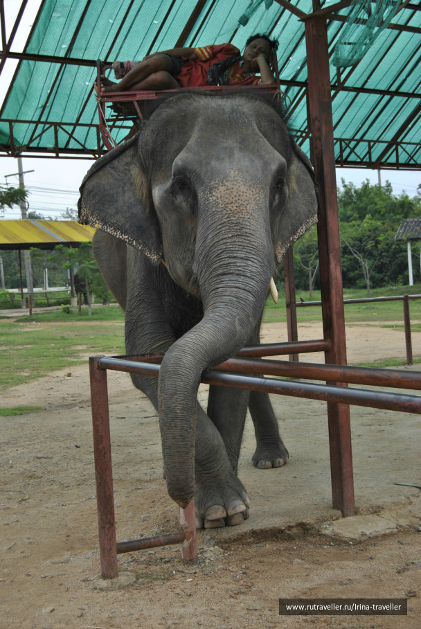 photo 234732