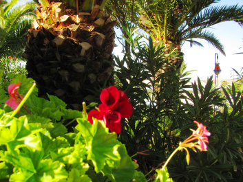 photo 227742