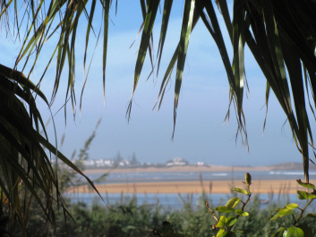 photo 227743