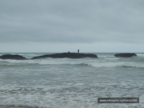 photo 1324541