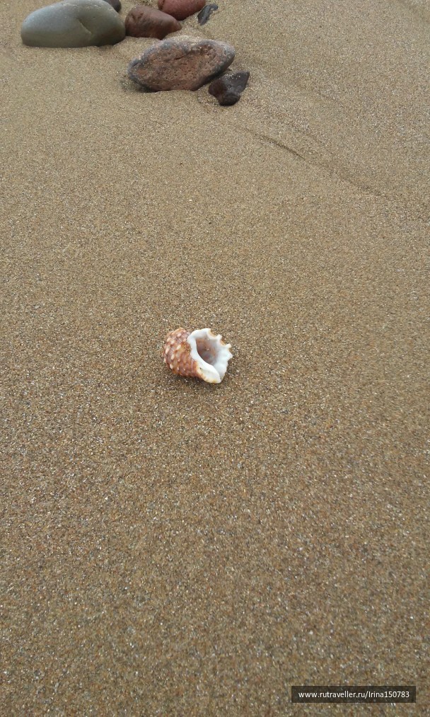 photo 1324543