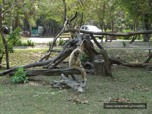 photo 999562
