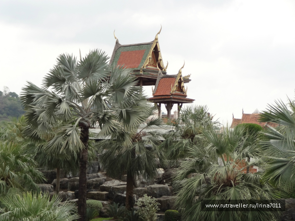 photo 999628
