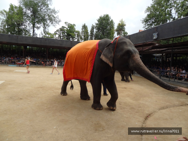 photo 999629