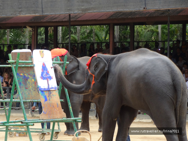 photo 999630