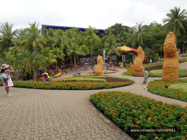 photo 999632