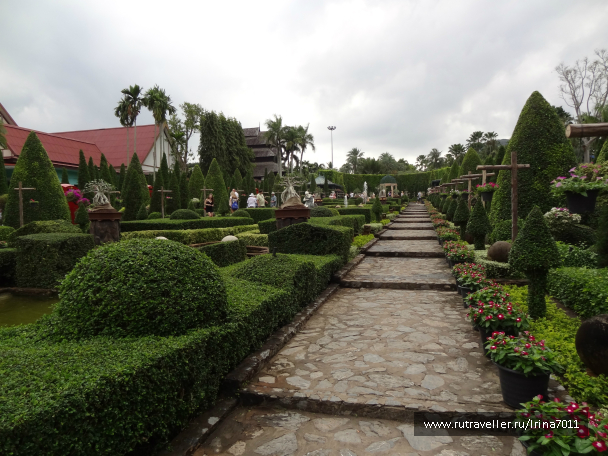 photo 999638