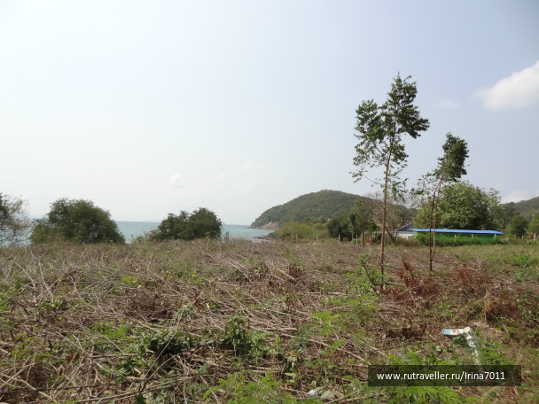 photo 999645
